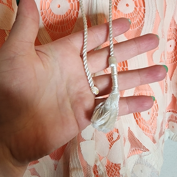 Lane Bryant Lace Mesh Cream Peach Pull On Shorts. Size 18/20. 2X - Picture 3 of 16